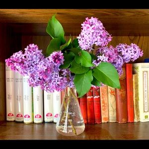 Meet your Posher, Bethany